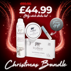 Christmas Bundle + FREE Gift