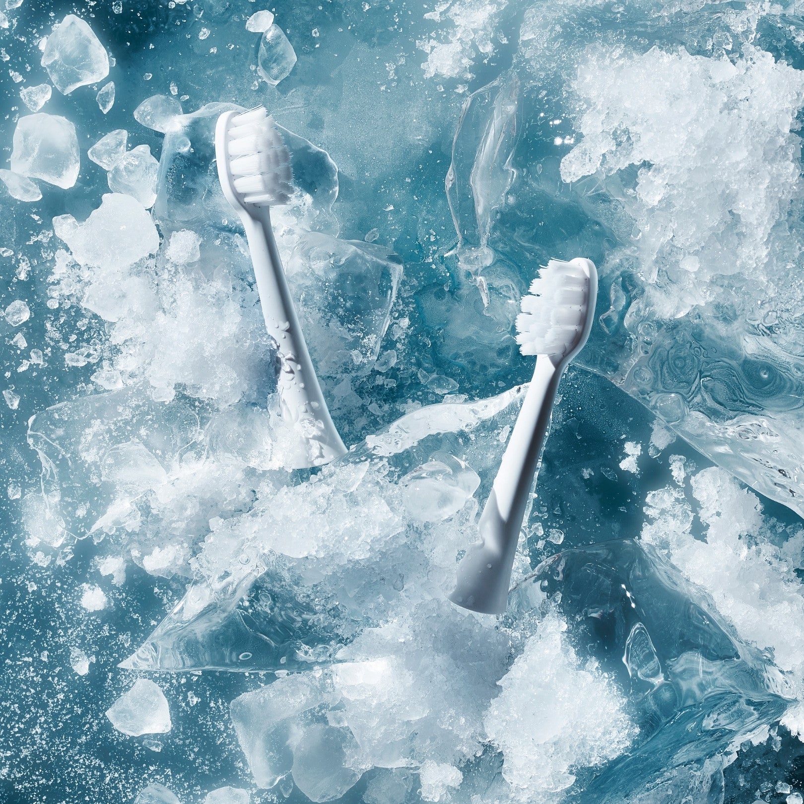 IcyBear★ NEXT-GENERATION Sonic Toothbrush Heads – Icy Bear Dental