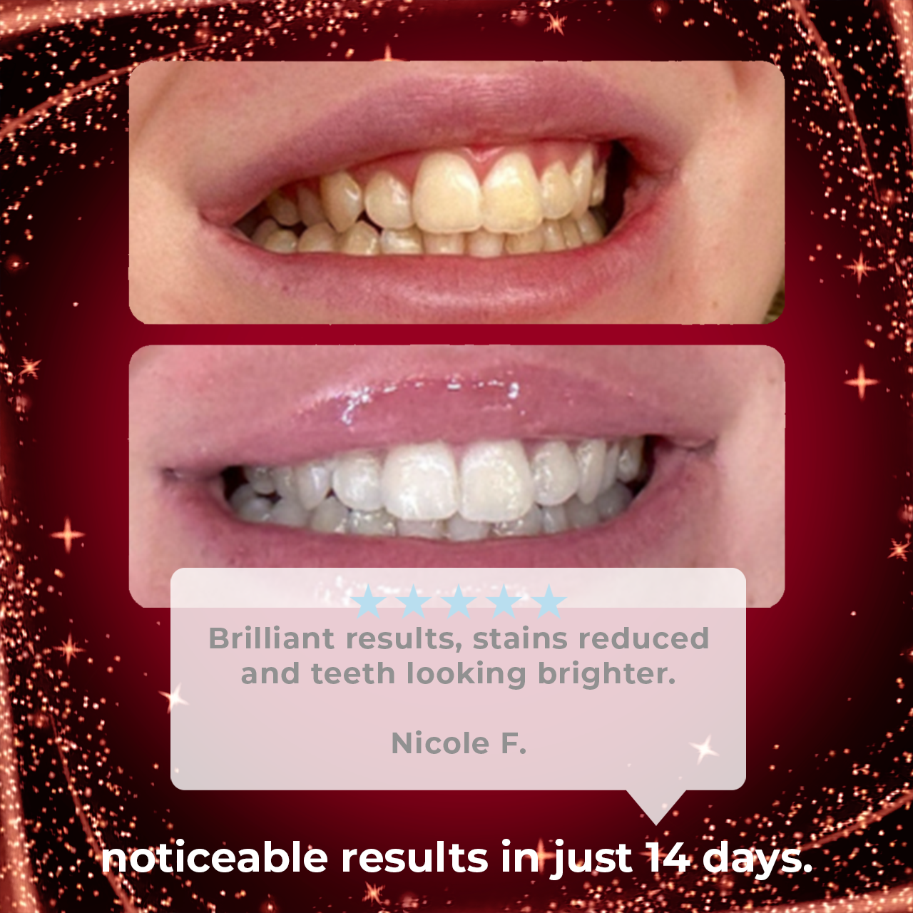 Christmas Bundle + FREE Gift