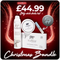Christmas Bundle + FREE Gift